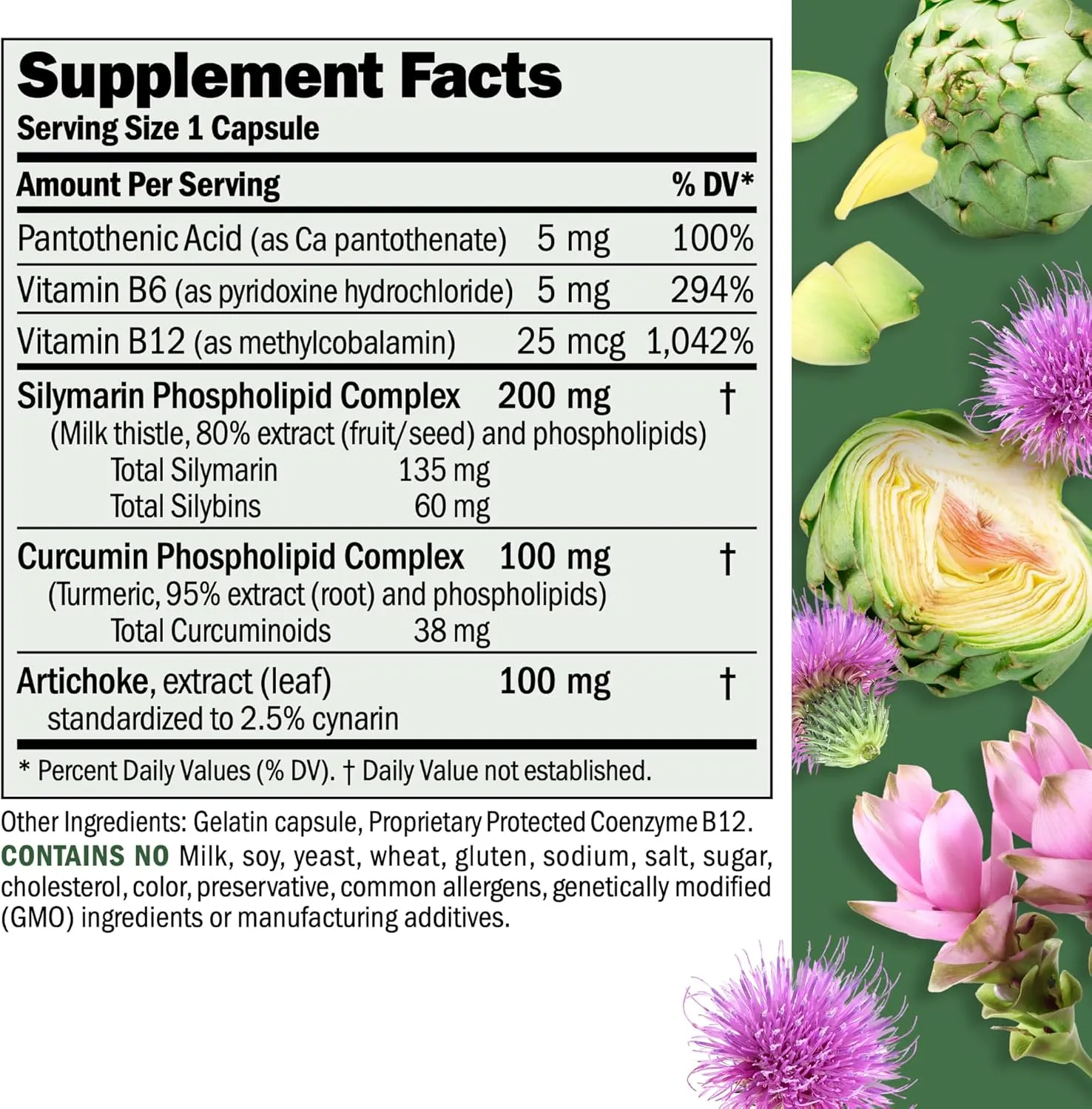 ANDREW LESSMAN Liver Anti-Oxidant Extracts 60 Capsules - Supports The Hard-Working Tissues of The Liver, Promotes Optimum Liver Health and Function. Milk Thistle, Turmeric and Artichoke Extracts