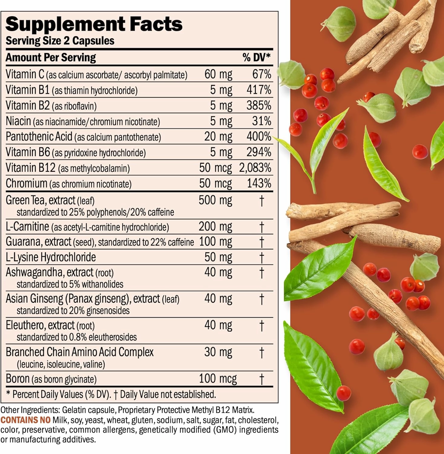 ANDREW LESSMAN Energy and Fat Metabolism Factors 180 Capsules - Promotes Optimum Fat Burning and Energy Metabolism, with Carnitine, Green Tea, Guarana, Ginseng, B-Complex. Easy to Swallow Capsules