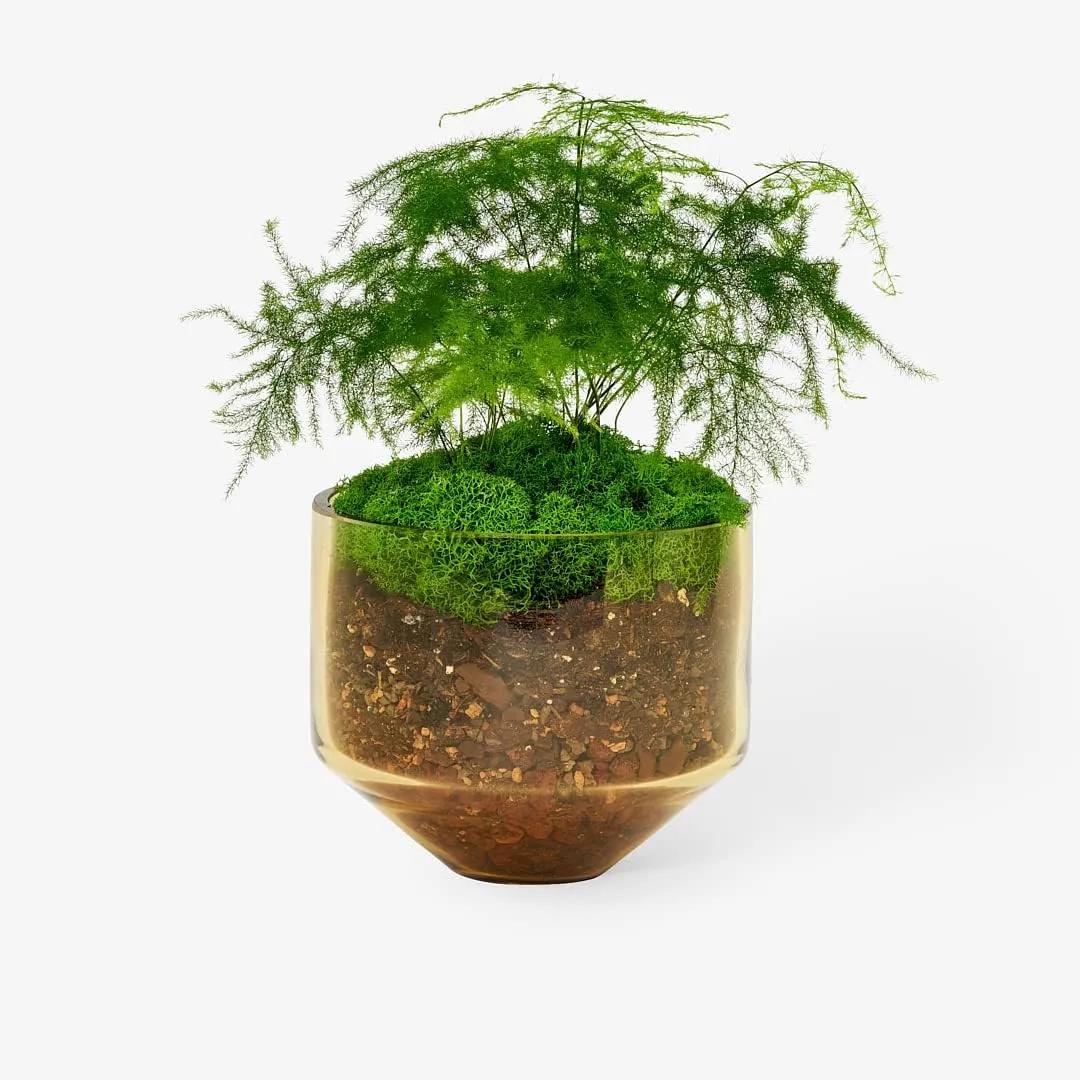 Areaware Model Three Planter (Amber)