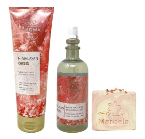 Bath & Body Works Aroma Himalayan Oasis Essential Oil Mist and Body Cream Set with a Himalayan Salts Springs Bar Soap - Full Size
