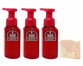 Bath & Body Works The Perfect Christmas 3 Pack Gentle & Clean Foaming Hand Soap Bundle with a Himalayan Salts Springs Sample Soap