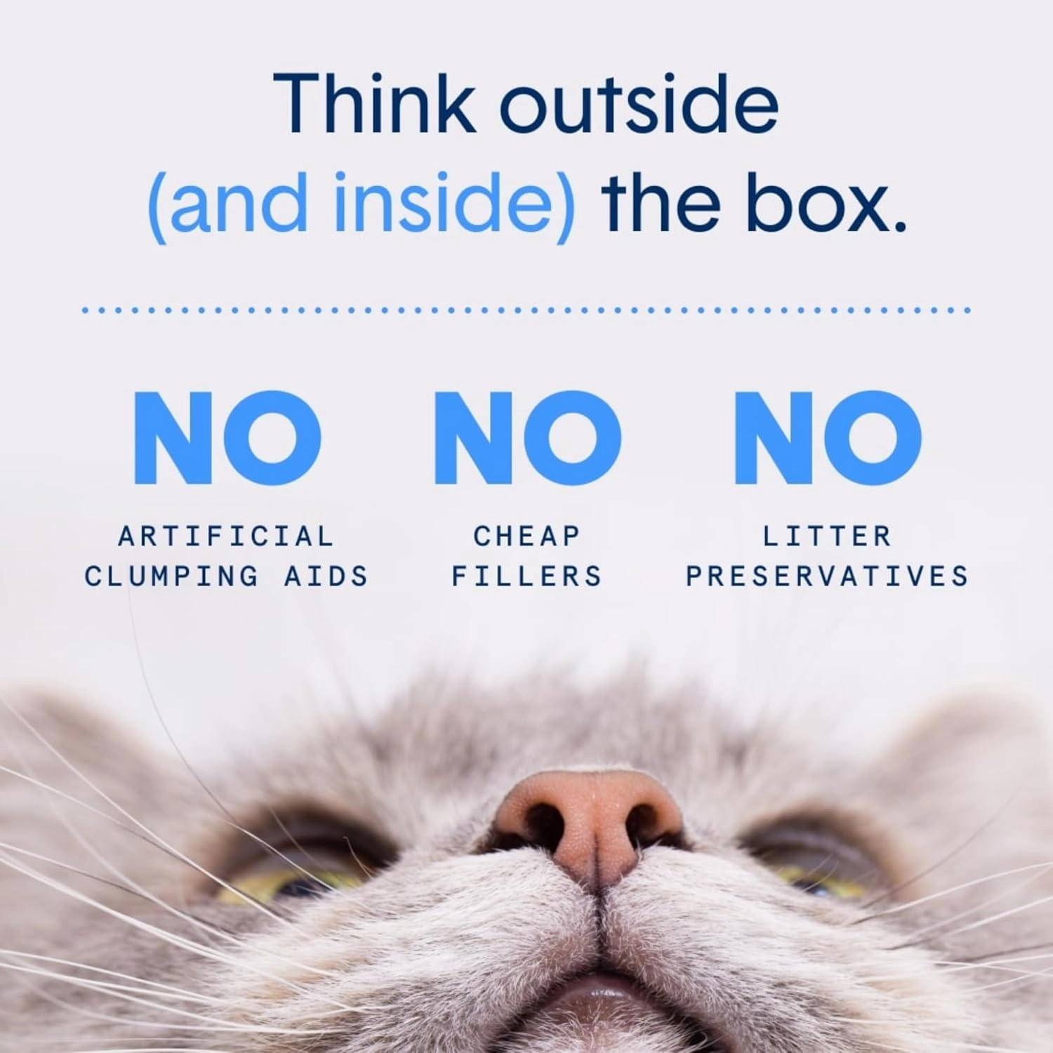 Boxie® Probiotic Cat Litter 40 Day Natural Odor Control, 16lb Clumping Kitty Litter (Clay)