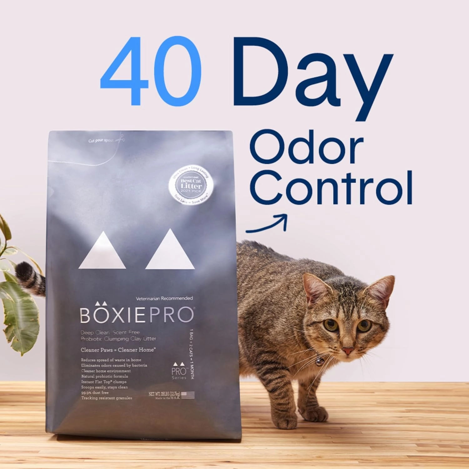 Boxie® Probiotic Cat Litter 40 Day Natural Odor Control, 16lb Clumping Kitty Litter (Clay)