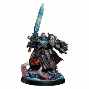 Brother-Captain Stern Grey Knights of the Imperium Painted Miniature Wargaming Figure | Art Painting Level