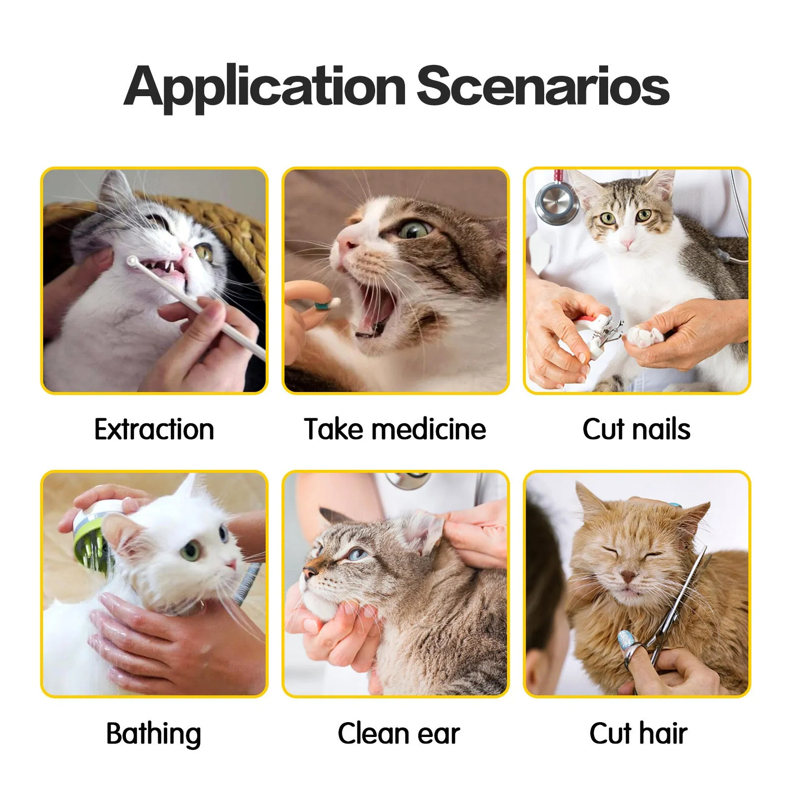 Cat Travel Bag Anti-Scratch and Bite Pet Bag