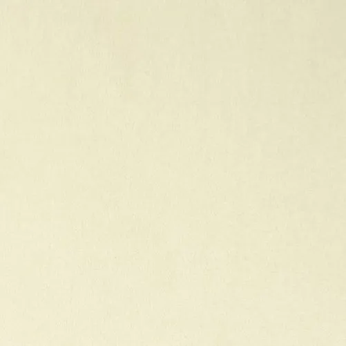 Cream Velvet Fabric