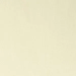 Cream Velvet Fabric