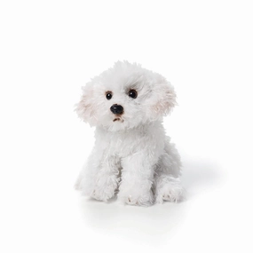 DEMDACO White Bichon Frise Children's Plush Beanbag Stuffed Animal Toy