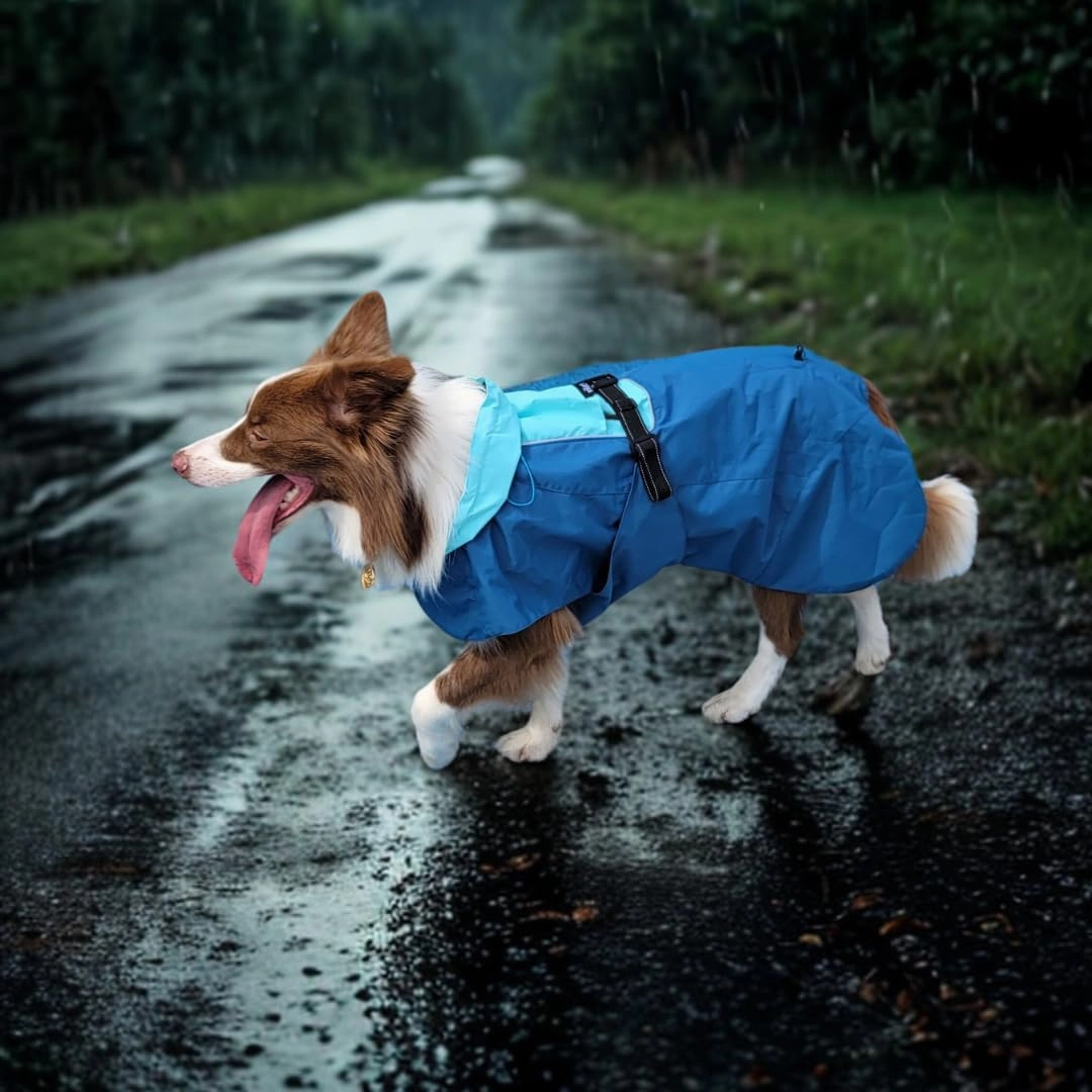 Dog Raincoat, Waterproof Jacket, Windproof & Lightweight Outdoor Rain Coat, Body Coverage Poncho,with Storage Bag, Blue, for Medium Breed (Large)