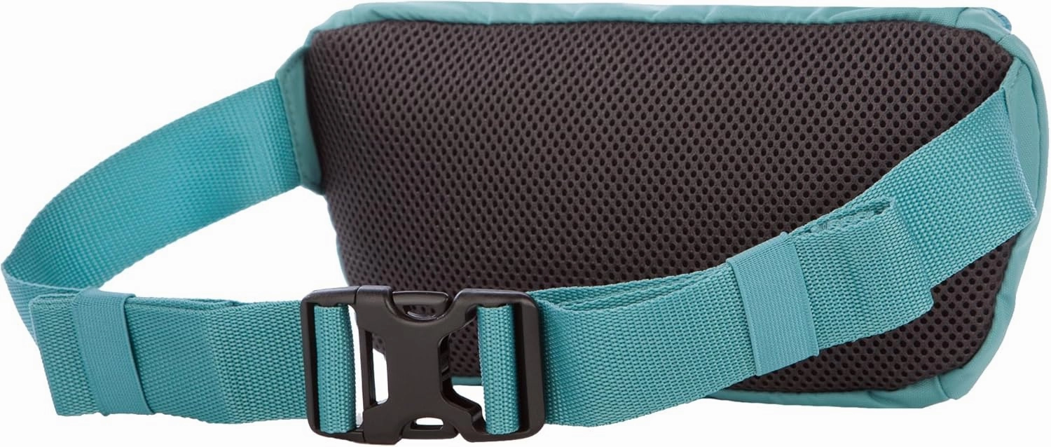 Eddie Bauer 2l Transit Waist Pack with Adjustable Waistband