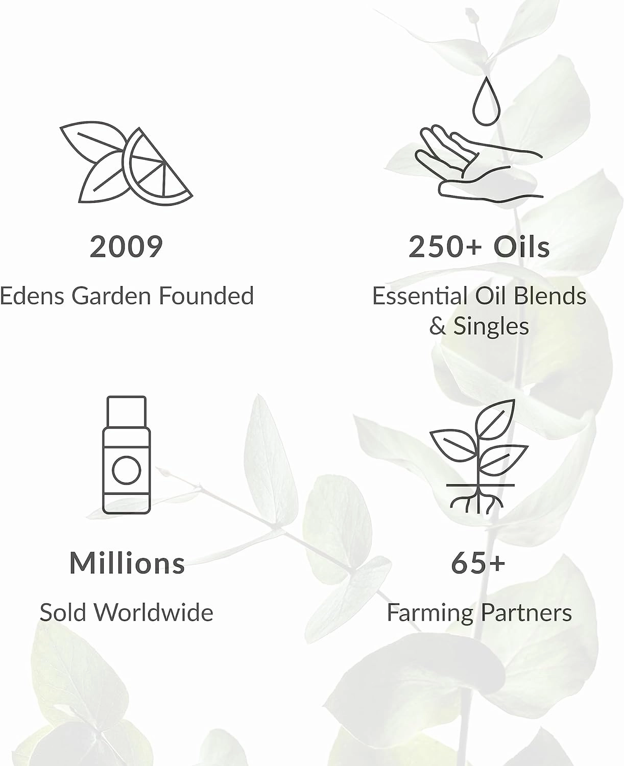 Edens Garden Argan Carrier Oil- 100% Pure Premium Cold Pressed & Hexane Free, Natural Moisturizer for Body, Face, Skin, Scalpt, Hair & Nail Care, Diluting Essential Oils & Massage 118 ml (4 fl oz)