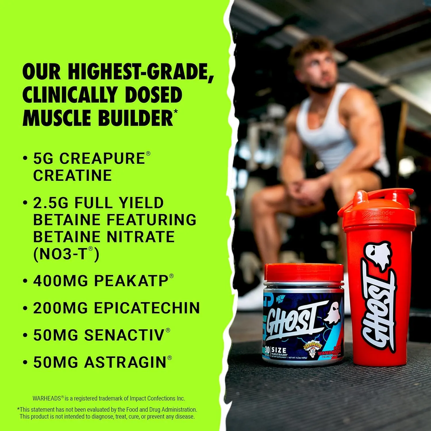 GHOST Size V3 Muscle Builder Dietary Supplement - Warheads Sour Watermelon, 30 Servings – Support Muscle Growth & Strength Building for Men & Women - Creatine & Betaine - Free of Sugar & Gluten