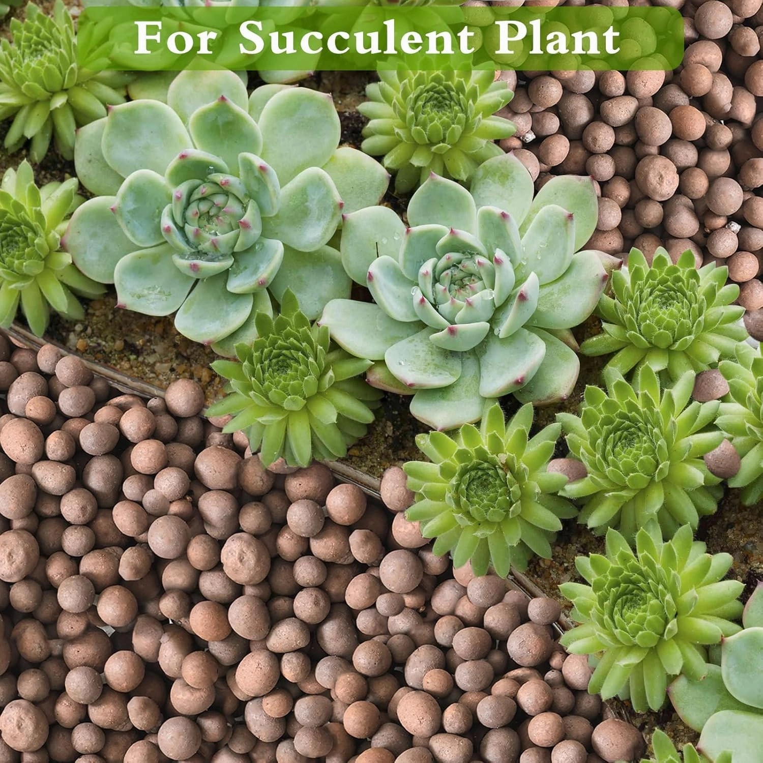 Halatool 10LB Leca Clay Pebbles for Plants 4mm-16mm Clay Balls 100% Natural Hydroton Leca Balls for Indoor Plants Hydroponic Growing Gardening Orchids Drainage Decoration Aquaponics