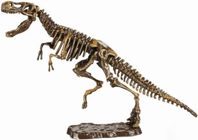 HANABASS Boys and Girls Cognitive Development Toy Dinosaur Toys Dinosaur Set Skeleton