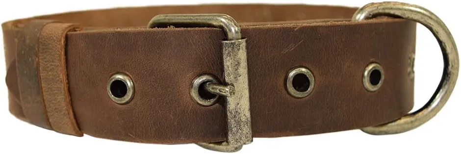 Hide & Drink, Bones Design Dog Collar for Medium Size Dog (12 to 21 Inches) Handmade from Full Grain Leather - Bourbon Brown