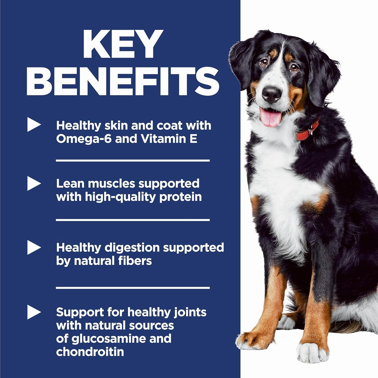 Hill's Science Diet Large Breed, Adult 1-5, Large Breed Premium Nutrition, Dry Dog Food, Chicken & Barley, 35 lb Bag