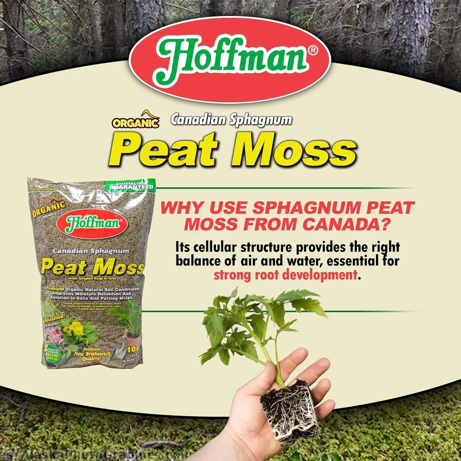 Hoffman 15503 Canadian Sphagnum Peat Moss, 10 Quarts