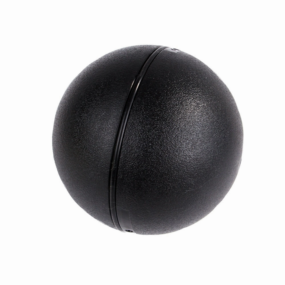 Interactive Dog Ball