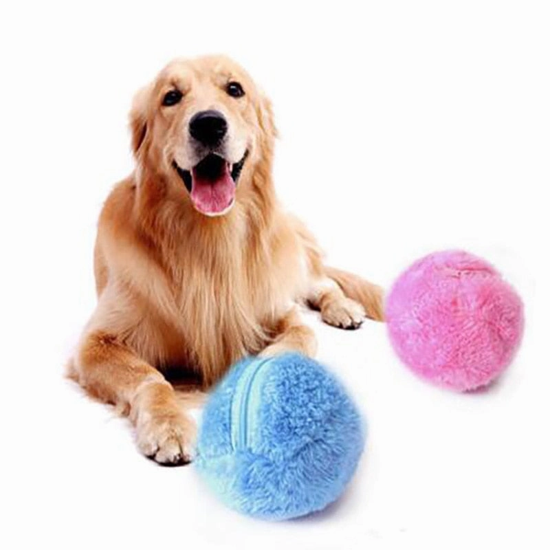 Interactive Dog Ball