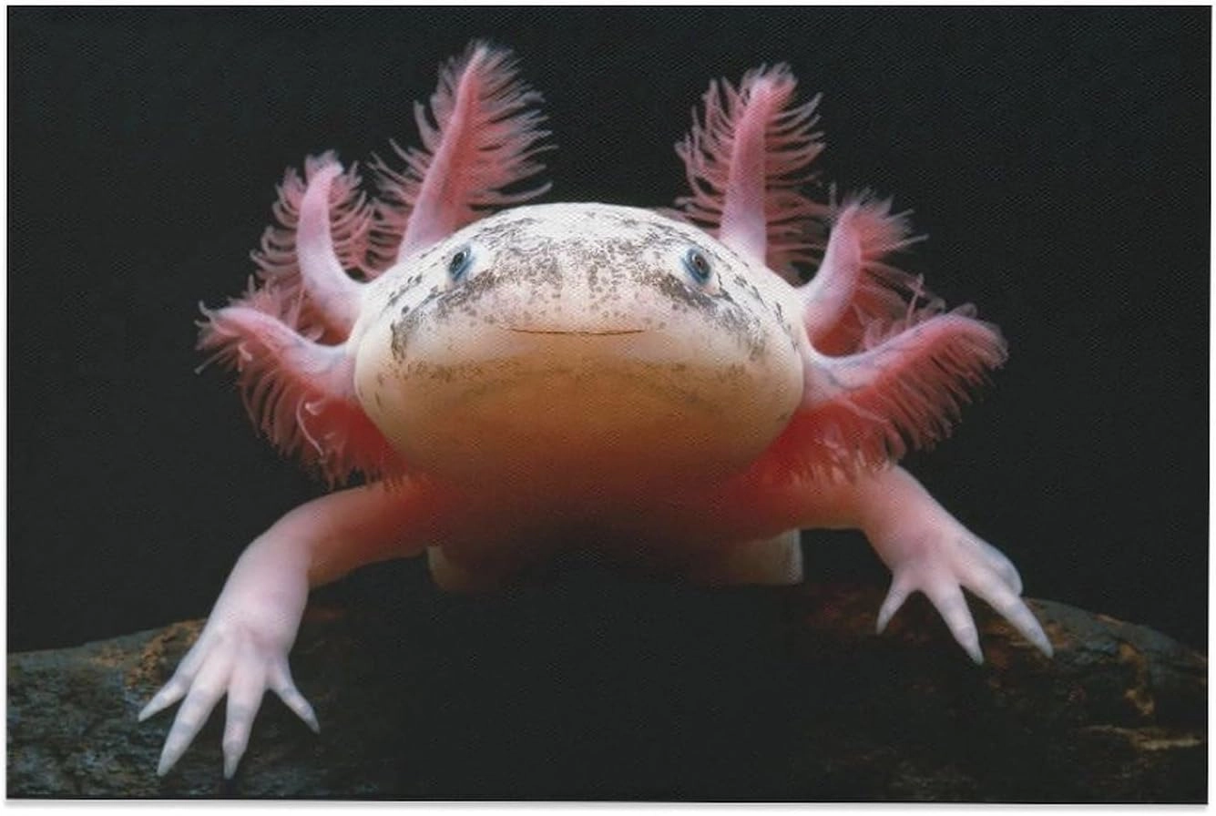 Jigsaw Puzzle 500 Piece Adult Puzzle Aquarium Galaxy Fish Axolotl Christmas Adult Kids Intelligence Game Toy Family Friend Puzzle Gift