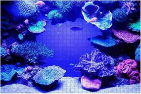 Jigsaw Puzzles 1000 Pieces for Adults Kids - Aquarium Fish Large Puzzles Pieces Fit Together Educational Intellectual Fun Game