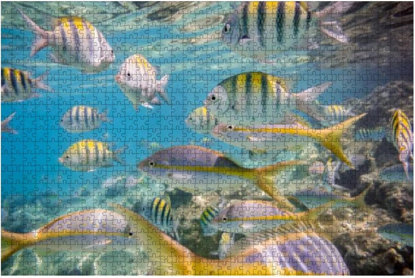 Jigsaw Puzzles 500 Pieces for Adults Kids - Caribbean sea underwater coral reef tropical fish Large Puzzles Pieces Fit Together Educational Intellectual Fun Game