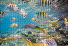 Jigsaw Puzzles 500 Pieces for Adults Kids - Caribbean sea underwater coral reef tropical fish Large Puzzles Pieces Fit Together Educational Intellectual Fun Game