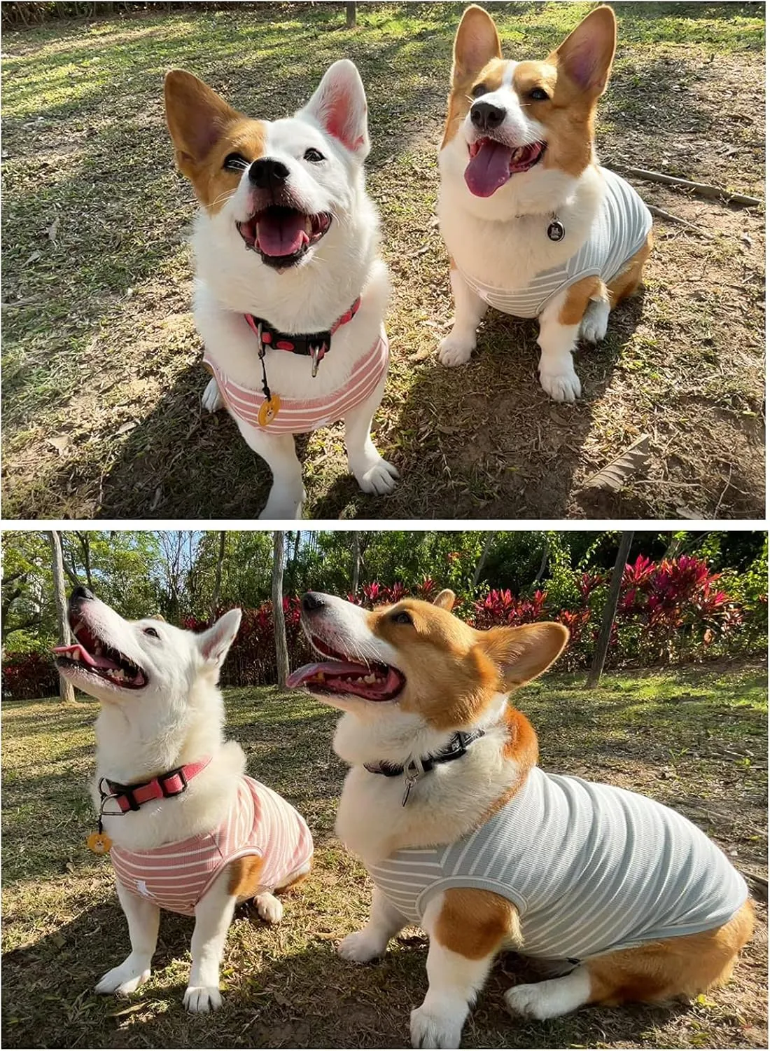 Koneseve Dog Shirt Vest Lightweight Stretchy Dog T-Shirts Soft Cool Shirts Sleeveless Stripe Vests Breathable Clothes for Puppy Kitty Cats Small Medium Large Dogs 2 Pack Pink   Green [ 3XL ]