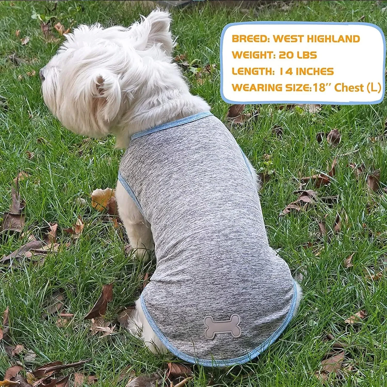 KYEESE 2 Pack Dog Shirts Quick Dry Soft Stretchy Pet T-Shirts with Reflective Label Tank Top Sleeveless Vest Sun Protection Dog Clothes for Small Dogs, Small, Light Blue Grey