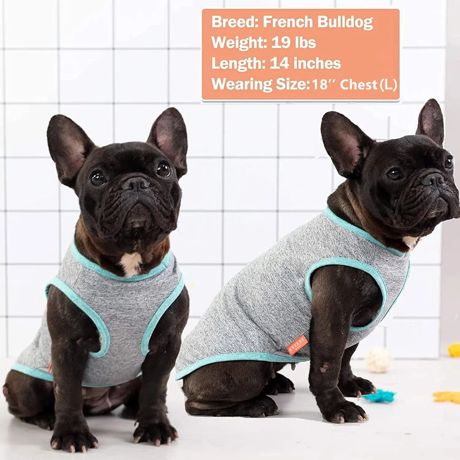 KYEESE 2 Pack Dog Shirts Sun Protection Quick Dry Soft Stretchy Pet T-Shirts with Reflective Label Tank Top Sleeveless Cat Vest Dog Clothes for Small Medium Dogs, Small, Grey Blue