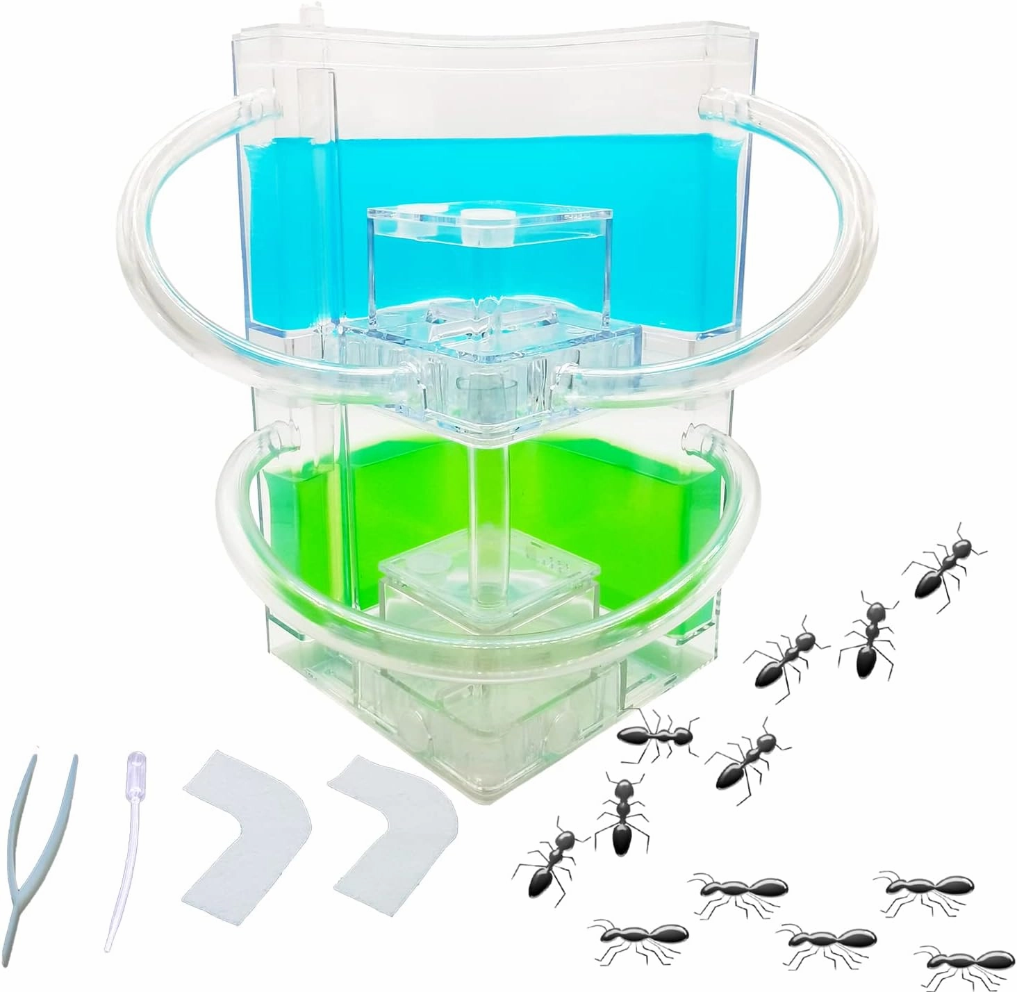 Large 2 Layer Gel Ant Colony Ecosystem Terrarium, Ant Habitat Science Learning Kit
