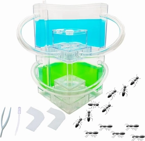 Large 2 Layer Gel Ant Colony Ecosystem Terrarium, Ant Habitat Science Learning Kit