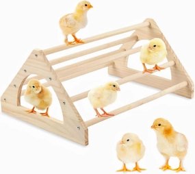 Large Wood Pine Chick Perch, Wooden Perch Chicks Toys for Coop and Brooder, Strong Chicken Jungle Gym Roosting Bar for Baby Chicks