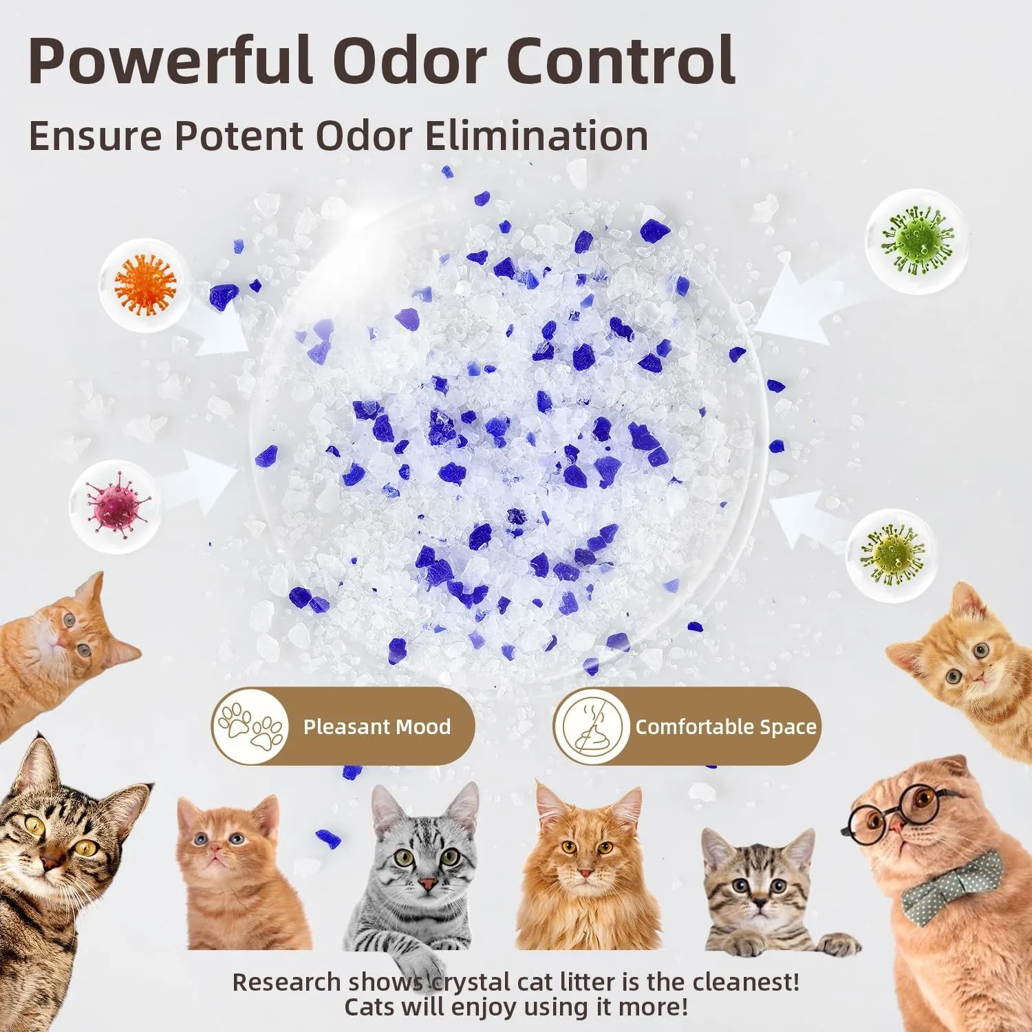 LaSyL Premium Crystal Cat Litter - 8.6 lb, Two Months Lasting - Superior Odor Control & Absorption, Non-Clumping, Low Tracking Silica Gel Safe for Pet, White & Blue (2 Bags of 4.3 lb)