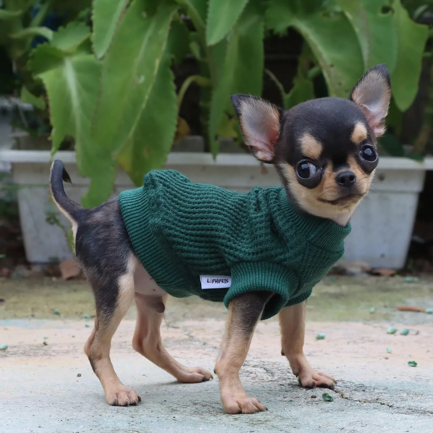 LOPHIPETS Lightweight Dog Sweaters for Puppy Small Dogs Puppy Chihuahua Yorkie Clothes-Atrovirens/XXS
