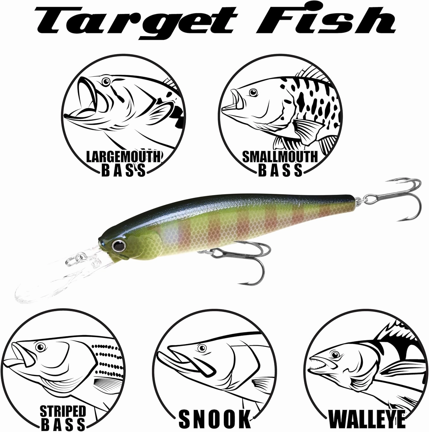 LUCKY CRAFT Pointer 100DD Fishing Lures for Freshwater, 4" Deep Diving and Suspending Jerkbait, Trout, Bass Lures, Tournament Winning, Premium Fishing Gear and Tackle Box Accessories
