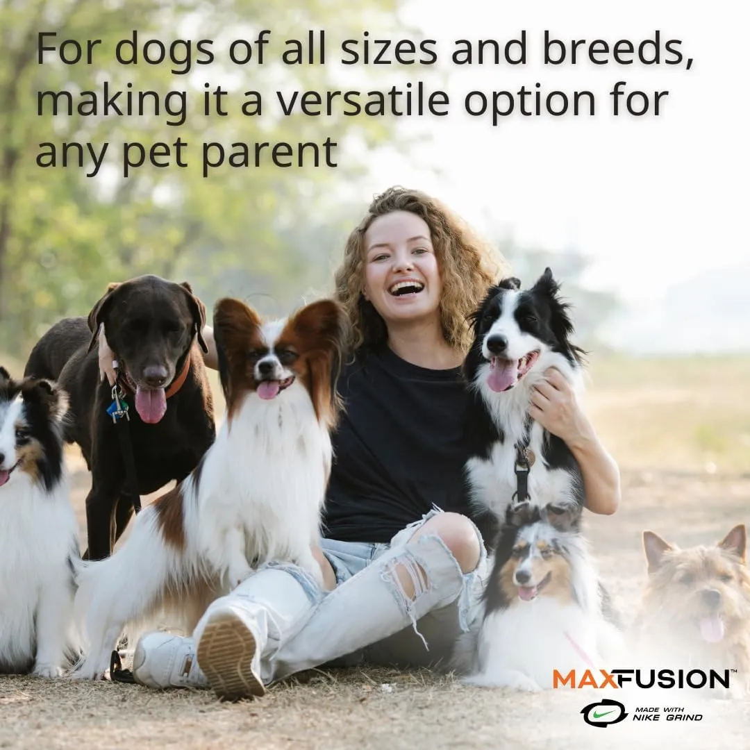 Max Fusion with Nike Grind, Arlee Cannon Treat Dispensing Dog Toy, Durable Dog Treat Toy, L