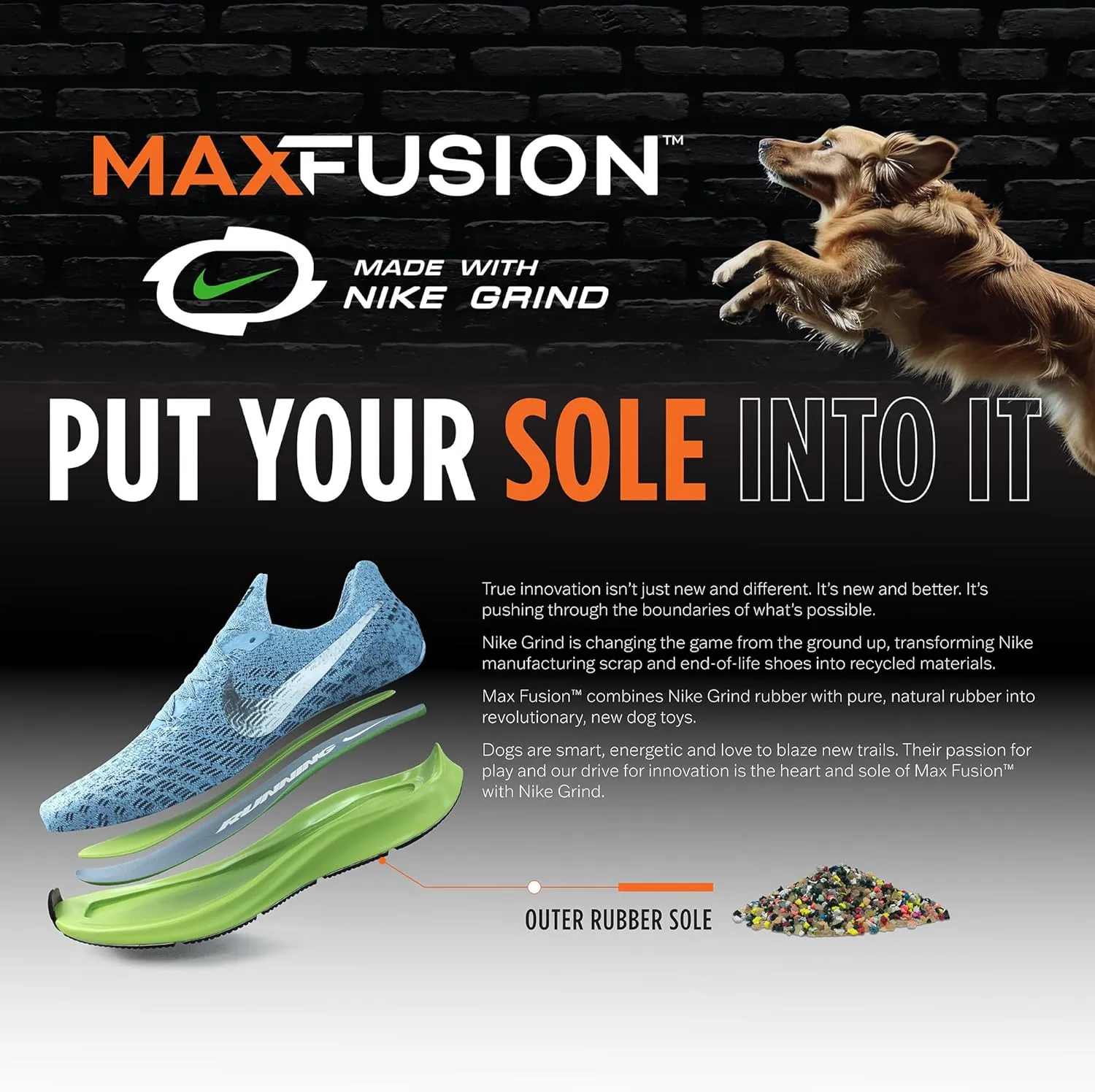 Max Fusion with Nike Grind, Arlee Cannon Treat Dispensing Dog Toy, Durable Dog Treat Toy, L
