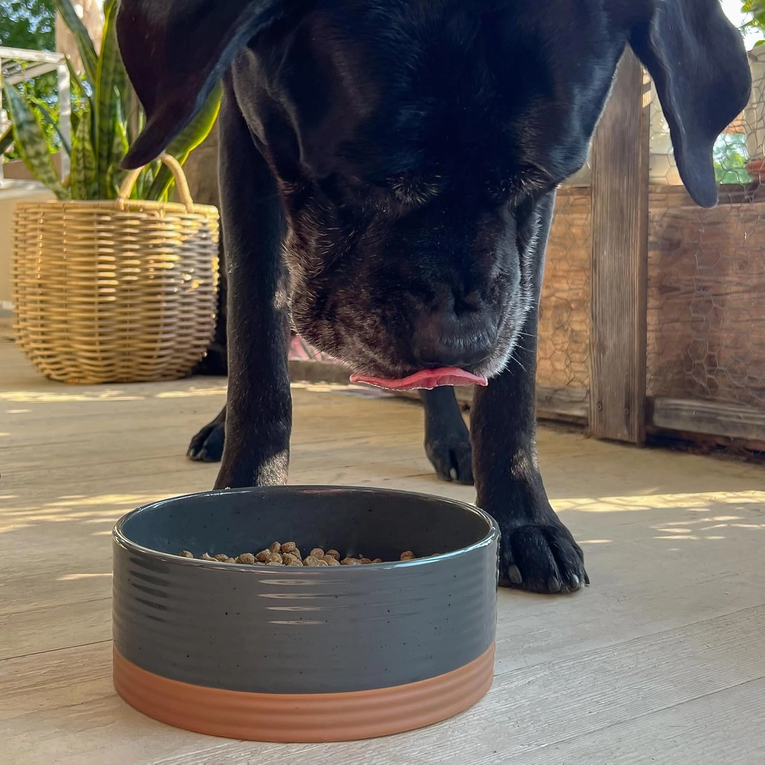 Mora Ceramic Pet Bowl Size Large - Food/Water Dish for Large Dogs, Cats, Great Dane, Mastiff, ect. 50oz or 8 Cups - Basic Bowls for Your Large Dog or Cat, Mix and Match for a Set - Charcoal