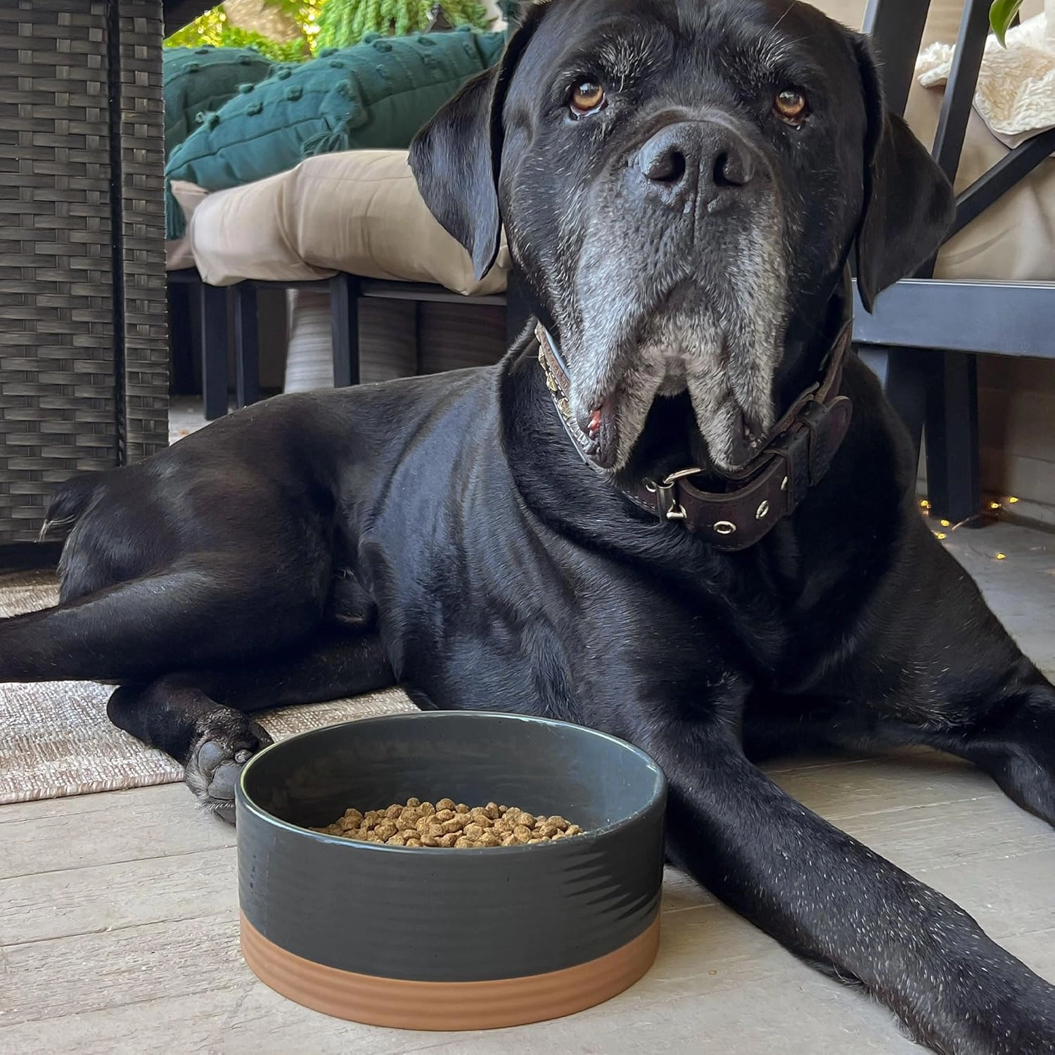 Mora Ceramic Pet Bowl Size Large - Food/Water Dish for Large Dogs, Cats, Great Dane, Mastiff, ect. 50oz or 8 Cups - Basic Bowls for Your Large Dog or Cat, Mix and Match for a Set - Charcoal