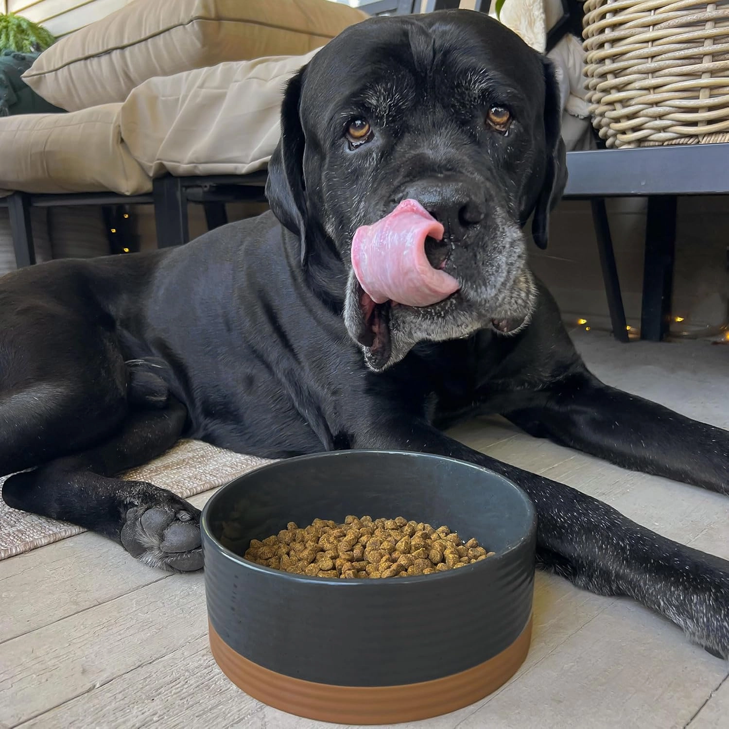 Mora Ceramic Pet Bowl Size Large - Food/Water Dish for Large Dogs, Cats, Great Dane, Mastiff, ect. 50oz or 8 Cups - Basic Bowls for Your Large Dog or Cat, Mix and Match for a Set - Charcoal
