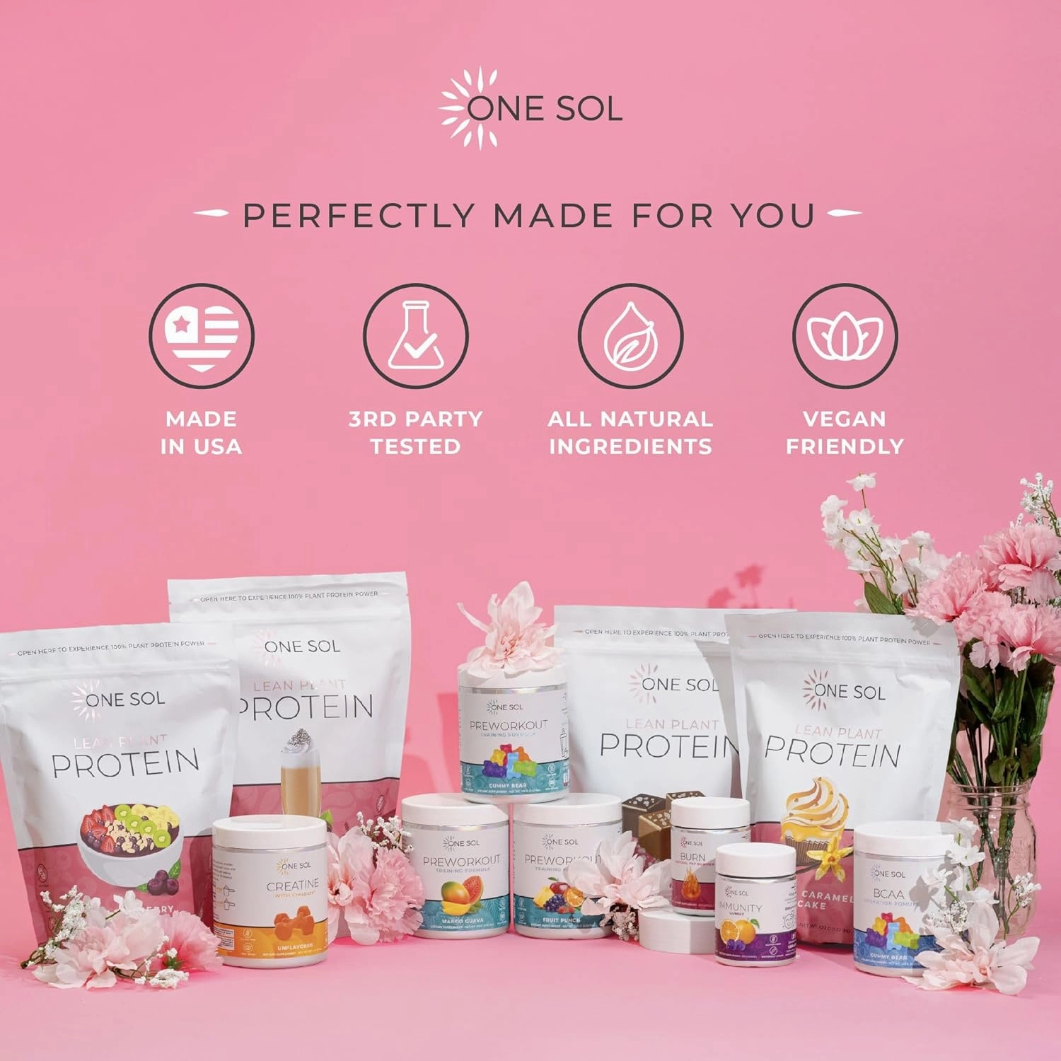 One Sol Lean Plant Protein Powder Horchata, Low Carb, Gluten Free, Lactose-Free, No Sugar Added, Soy Free, Non-GMO, 100% Plant-Based & Vegan Friendly
