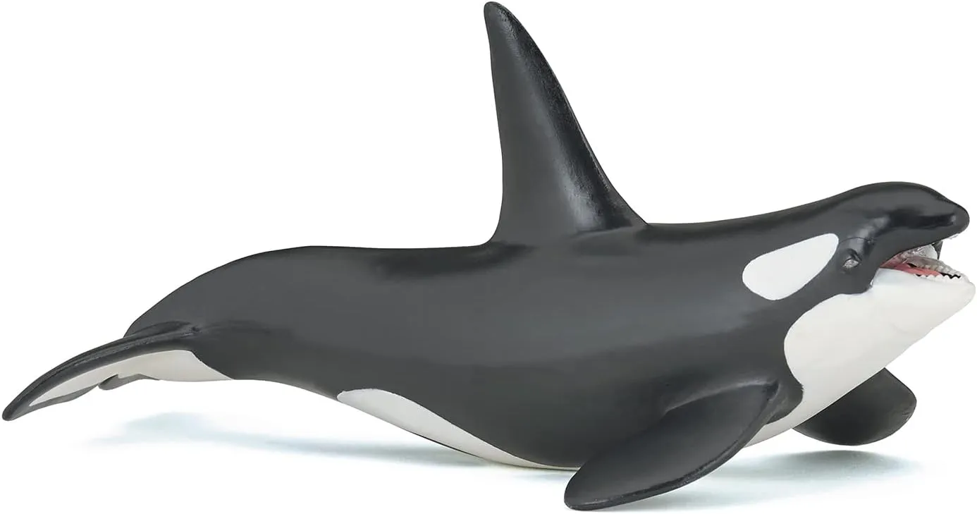 Papo - hand-painted - figurine - Marine Life - Killer Whale Figure-56000 - Collectible - For Children - Suitable for Boys and Girls - From 3 years old