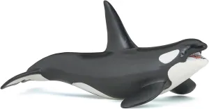 Papo - hand-painted - figurine - Marine Life - Killer Whale Figure-56000 - Collectible - For Children - Suitable for Boys and Girls - From 3 years old