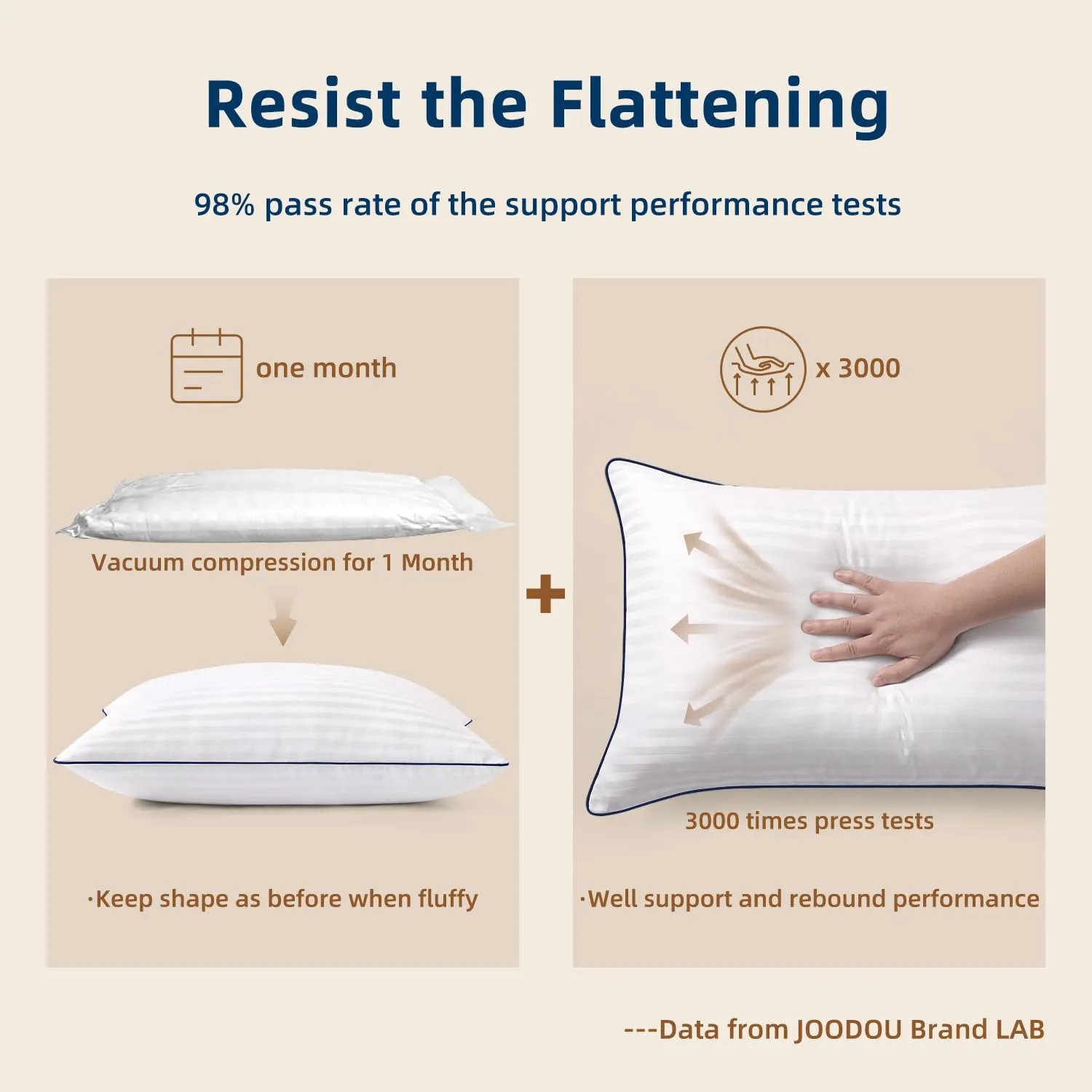 Pillows Queen Size Set of 2, Fluffy & Soft Bed Pillow for Back,Stomach,Side Sleepers, Filled with Down Alternative, Luxury Hotel Pillows for Bed 2 Pack -20×30