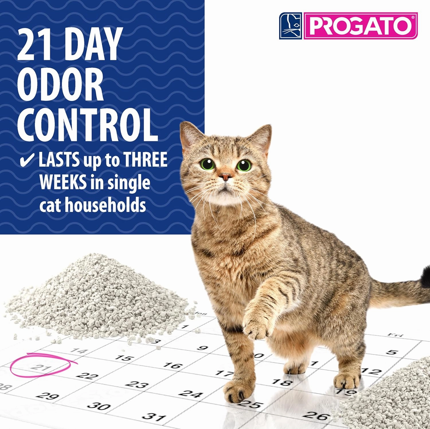 Premium Natural Cat Litter, 100% Natural Diatomaceous Earth Non-Clumping Cat Litter, Odor Control, Lightweight, Chemical and Dye Free (7.93, Pounds)