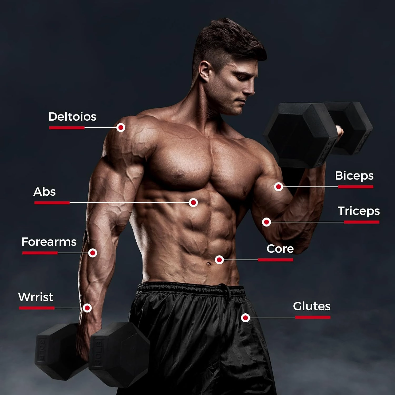 RitFit 5-300LBS Rubber Encased Hex Dumbbell Sets with Optional Rack for Home Gym, Coated Hand Weights for Strength Training, Workouts