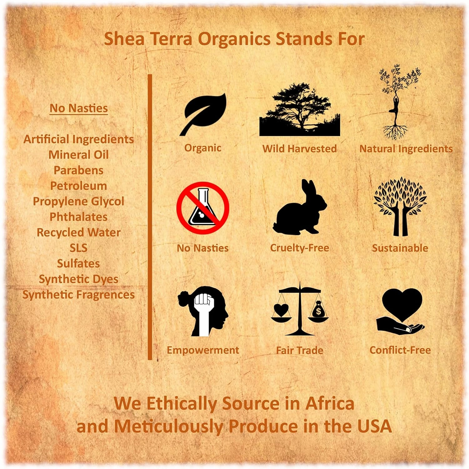 Shea Terra Kigelia Age Defense Collection – Illuminating Face Mask | Natural, Anti-Aging, Detoxifying Face Mask w/Turmeric, Lemon & Saharan Gold Clay for Glowing Skin – 5oz