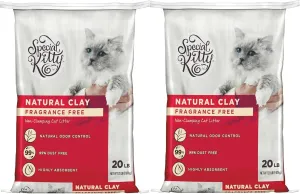 Special Kitty Unscented Non-Clumping Natural Clay Litter, 20 lbs (Pack 2)