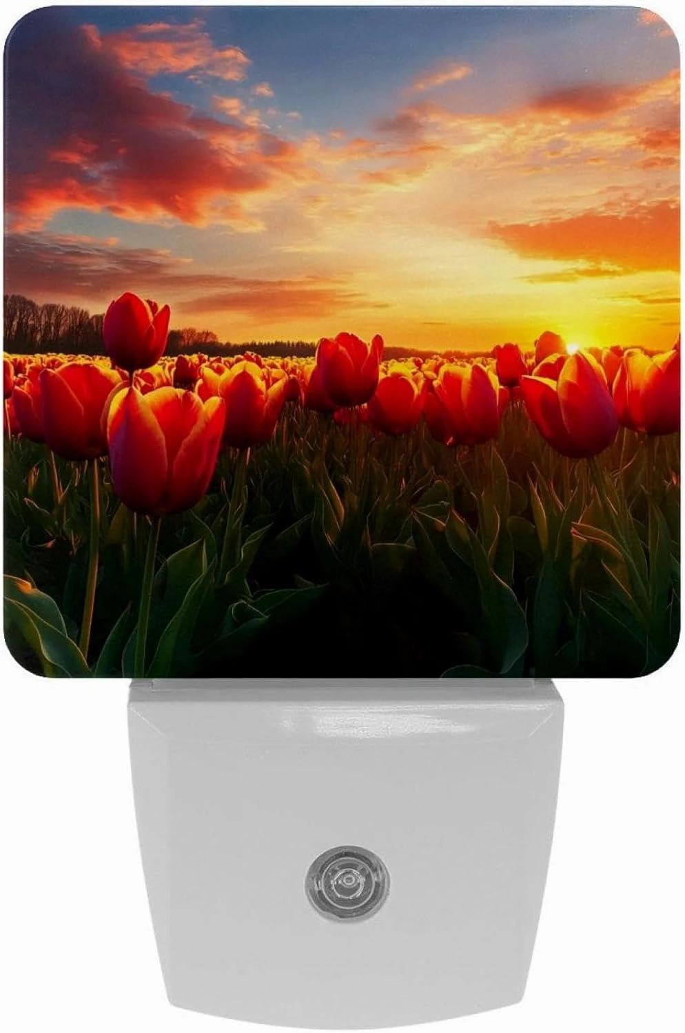 Sunset Tulip Field Plug in LED Night Light Auto Sensor Dusk to Dawn Decorative Night for Bedroom, Bathroom, Kitchen, Hallway, Stairs, Hallway, Baby's Room, Energy Saving